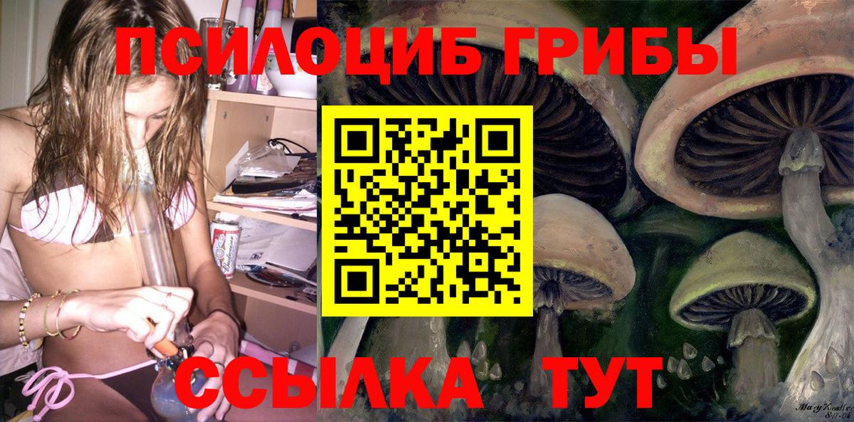 Псилоцибиновые грибы Magic Shrooms Гусь-Хрустальный